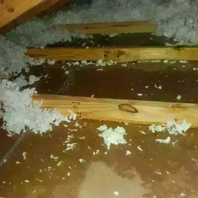 Attic Water Damage in Carlisle, KY